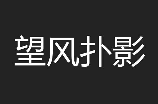 望风扑影