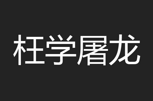 枉学屠龙
