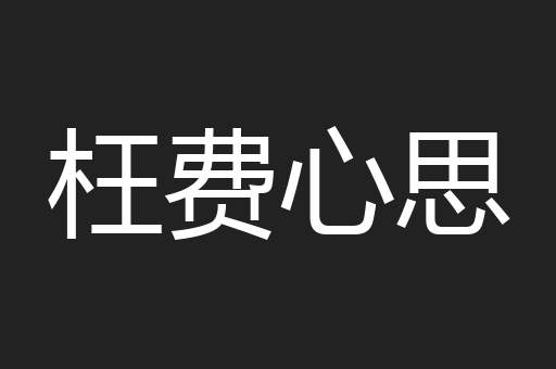 枉费心思