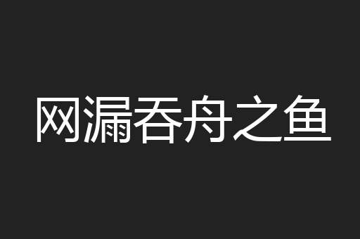 网漏吞舟之鱼