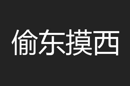 偷东摸西