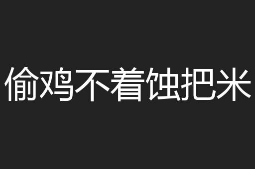 偷鸡不着蚀把米