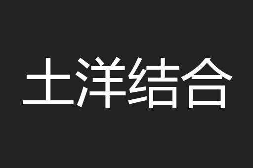土洋结合