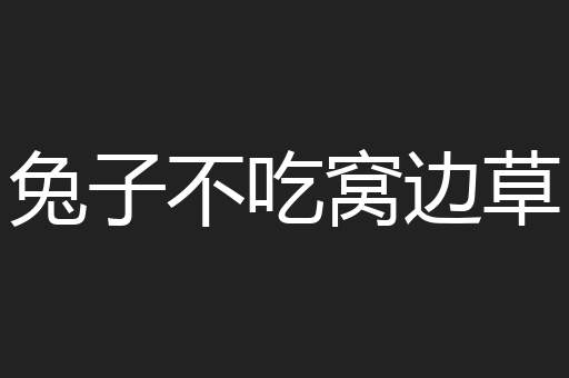 兔子不吃窝边草