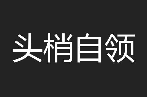头梢自领