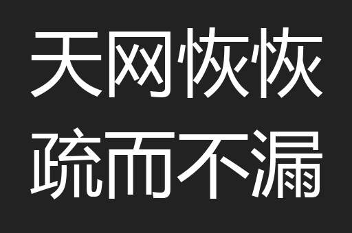 天网恢恢疏而不漏