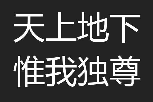 天上地下惟我独尊