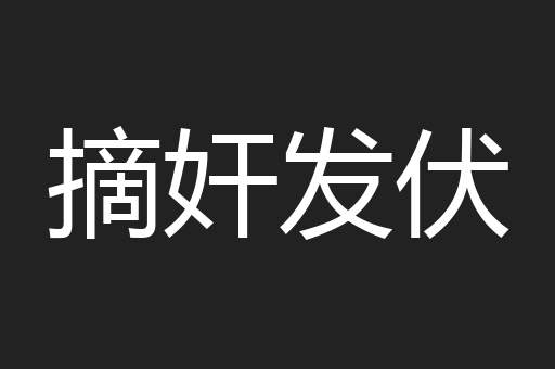 摘奸发伏