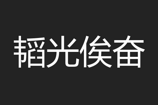 韬光俟奋
