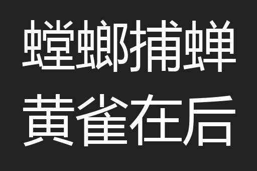 螳螂捕蝉黄雀在后