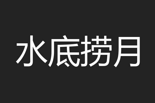 水底捞月