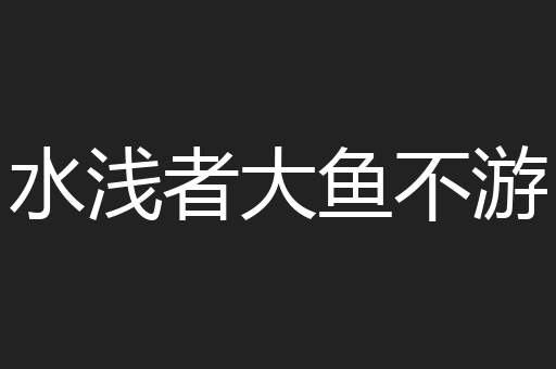 水浅者大鱼不游