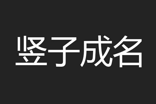 竖子成名