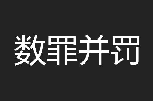 数罪并罚