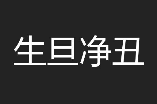 生旦净丑
