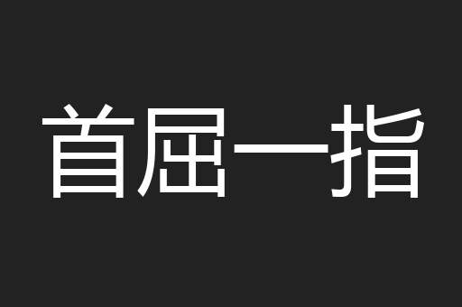 首屈一指