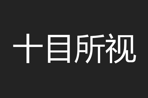 十目所视