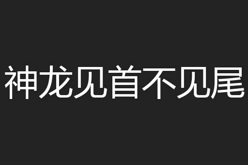 神龙见首不见尾