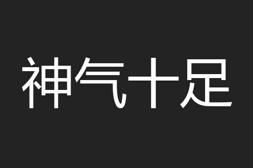 神气十足