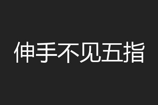 伸手不见五指
