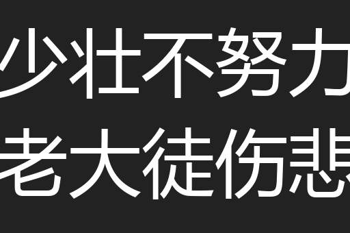 少壮不努力老大徒伤悲