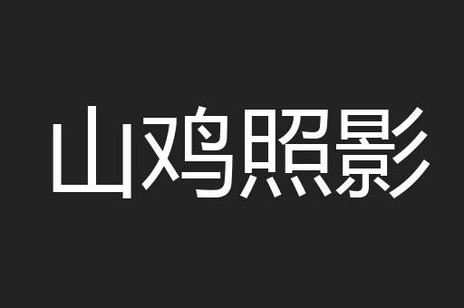 山鸡照影