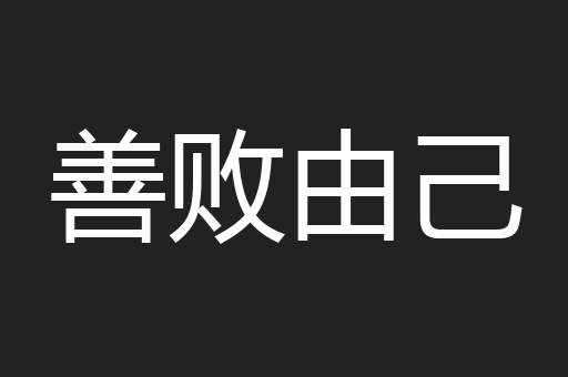 善败由己