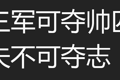 三军可夺帅匹夫不可夺志