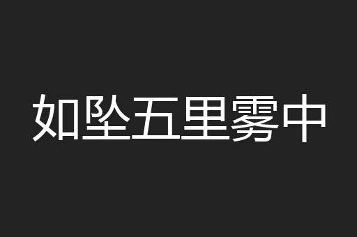 如坠五里雾中