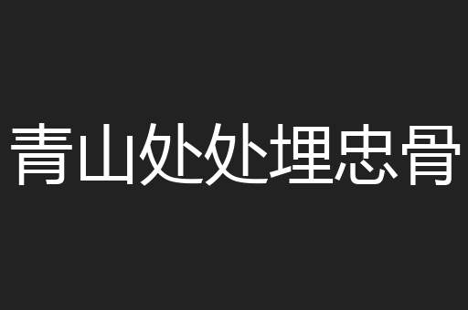 青山处处埋忠骨