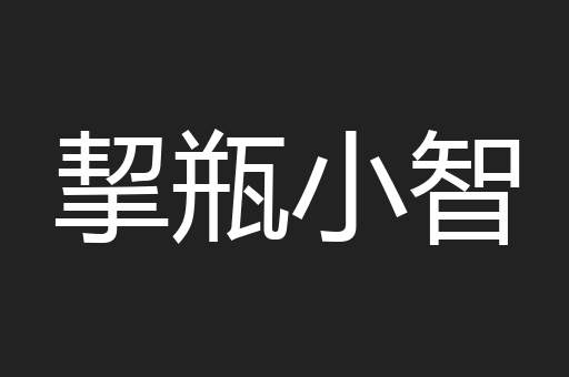 挈瓶小智
