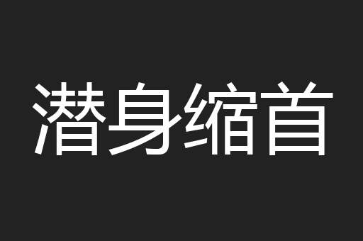 潜身缩首