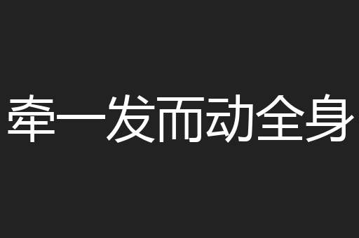 牵一发而动全身