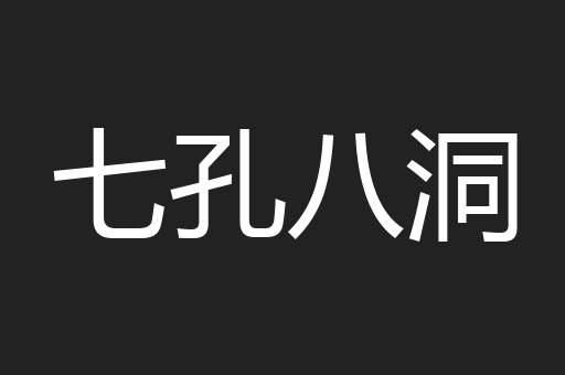 七孔八洞