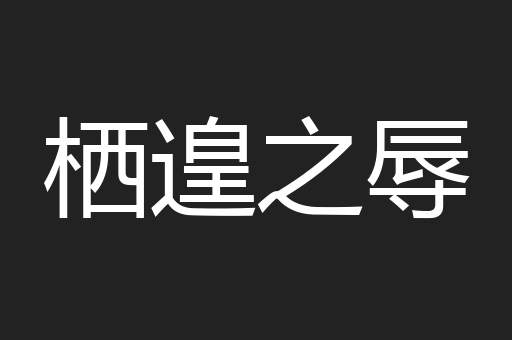 栖遑之辱