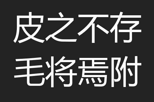 皮之不存毛将焉附