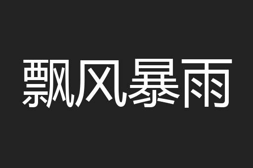 飘风暴雨