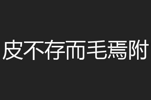 皮不存而毛焉附