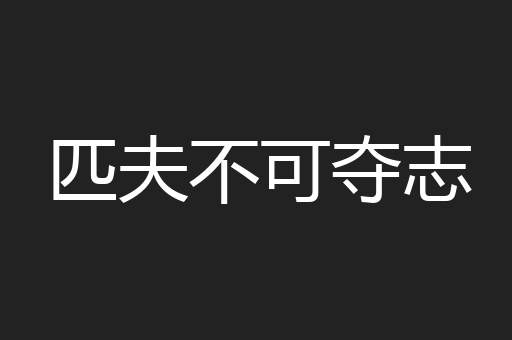 匹夫不可夺志