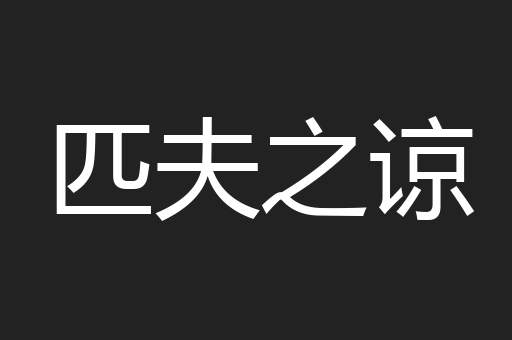 匹夫之谅