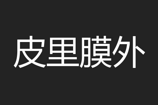 皮里膜外
