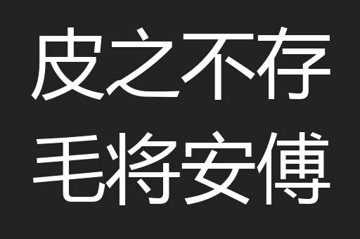 皮之不存毛将安傅