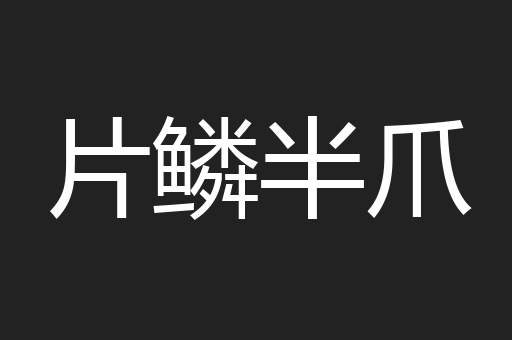 片鳞半爪
