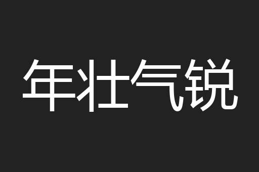 年壮气锐