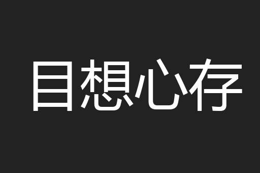 目想心存