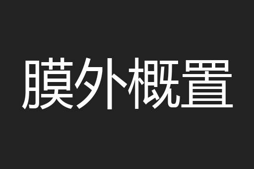 膜外概置