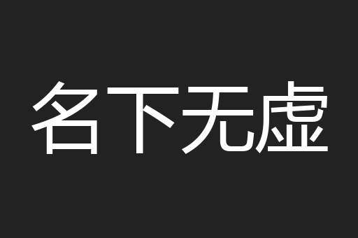 名下无虚