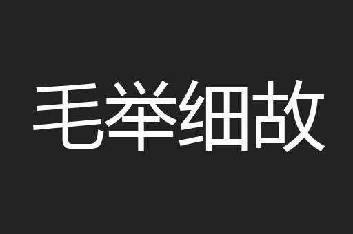 毛举细故