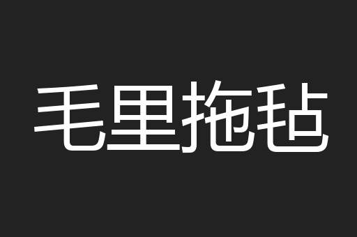 毛里拖毡