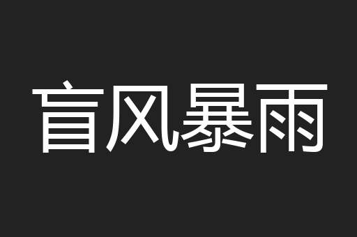 盲风暴雨